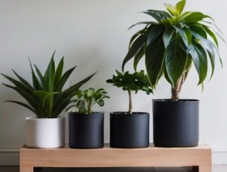 Автополив для комнатных растений: как упростить уход и сохранить здоровье зелёных любимцев