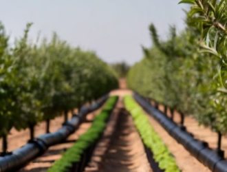Эффективный капельный полив: ключ к успешному садоводству и устойчивому сельскому хозяйству