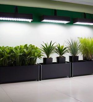 Искусственное освещение для растений: как выбрать и установить идеальную подсветку для здоровья ваших зеленых друзей
