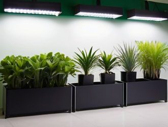 Искусственное освещение для растений: как выбрать и установить идеальную подсветку для здоровья ваших зеленых друзей