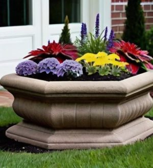 Мини-клумбы: Как создать зелёный уголок у себя дома?