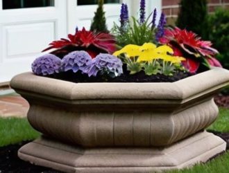 Мини-клумбы: Как создать зелёный уголок у себя дома?