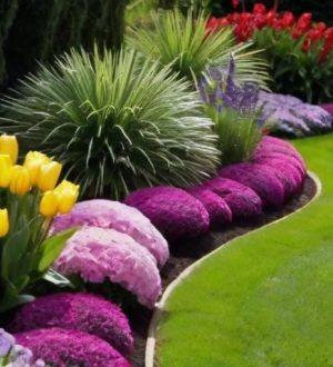 Создание идеального цветника: от выбора растений до ухода за ними