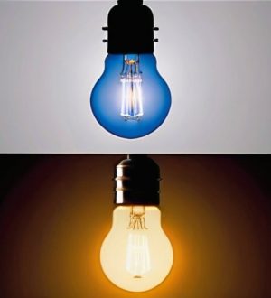 Сравнение ламп: LED против ламп накаливания – что выбрать для дома?