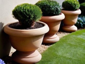 Цветочные горшки в садовом дизайне: от истории до практических советов для создания идеального пространства