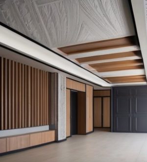 Выбор потолка: что лучше — гипсокартон, натяжные, подвесные или деревянные конструкции?