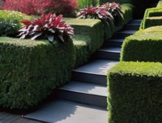 Живые ограждения: зеленое решение для уюта и экологии