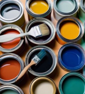 Как выбрать идеальную краску для туалета: советы по выбору, покраске и уходу