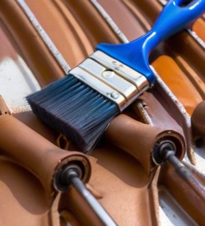 Покраска крыши из железа: как продлить срок службы и защитить от коррозии