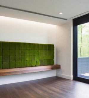 Стабилизированный мох: Уникальный материал для вашего интерьера и экологии